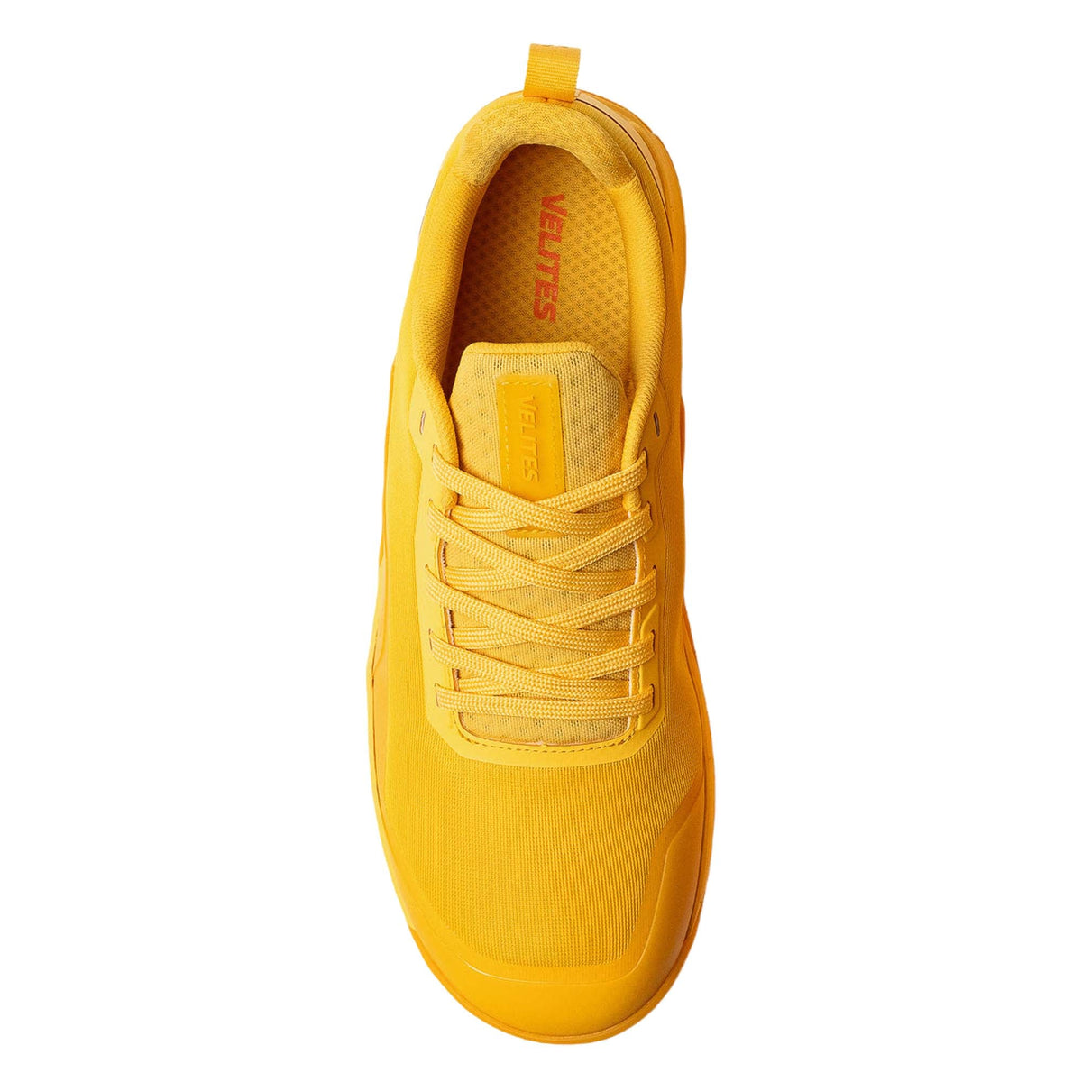 Yolk