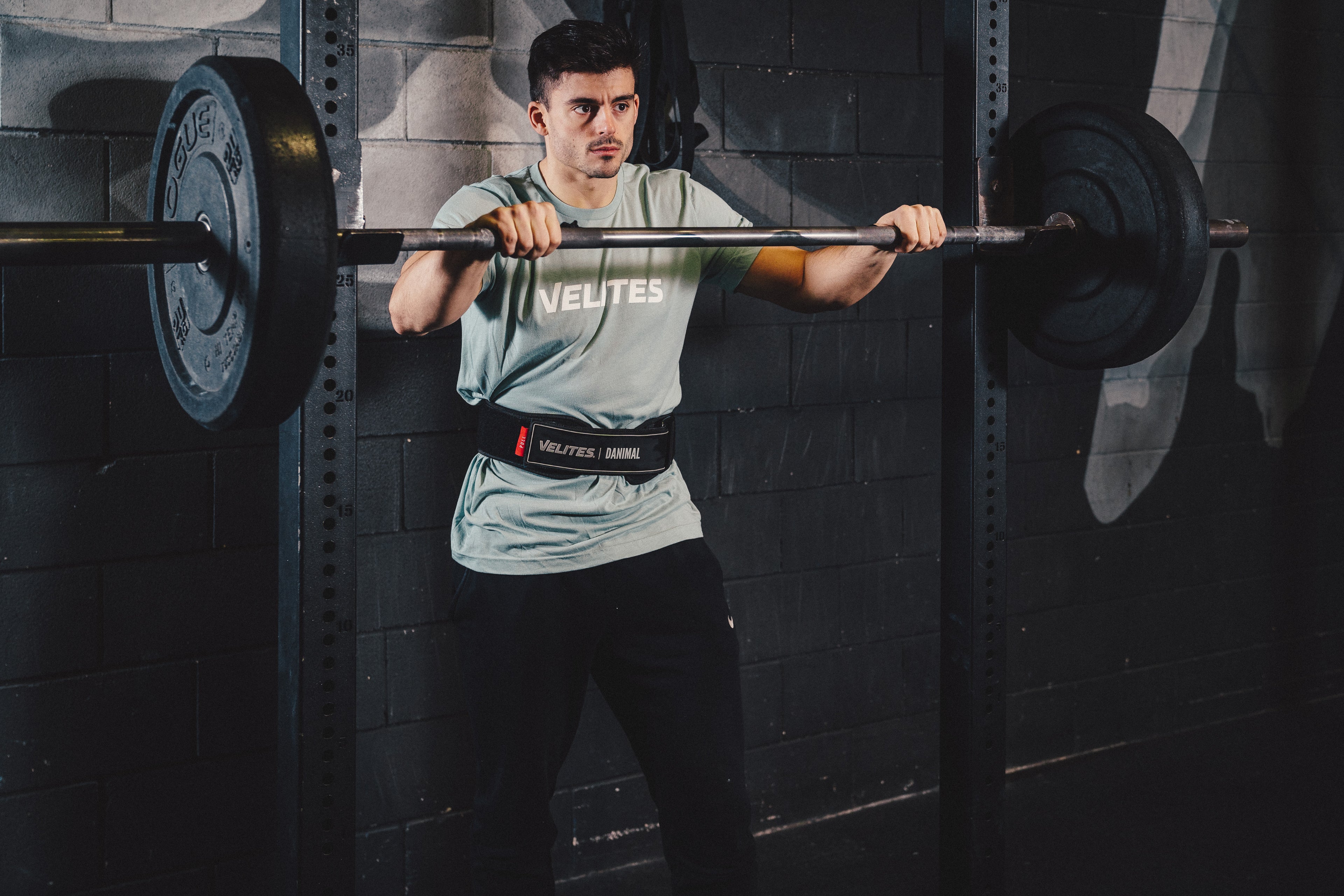 LiftingBelt_Black_DaniCamacho_107.jpg